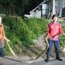Ular Piton 4,5 Meter Dievakuasi dari Atap Rumah di Nganjuk, Sebelumnya Mangsa Ayam Warga