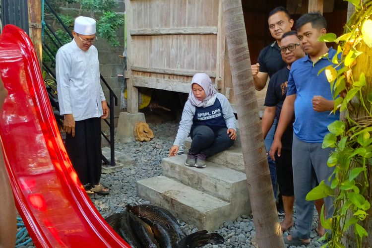 Pemusnahan ikan aligator gar di Kabupaten Situbondo Provinsi Jawa Timur pada Kamis (19/9/2024).