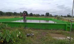 Genjot Lahan Rawa, Kementan Tetap Cetak Sawah Baru