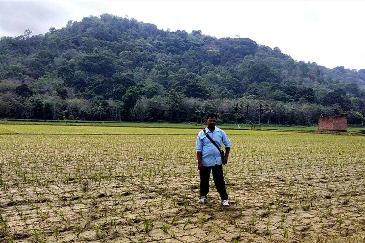 15 ribu hektare sawah di Kabupaten Musirawas, Provinsi Sumsel berpotensi alami kekeringan dalam beberapa minggu ke depan