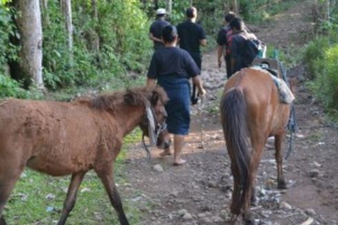 Desa Ammatoa, Tanpa Listrik, Mobil, dan Motor