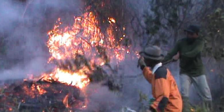 Relawan mencoba memadamkan api di lereng Gunung Lawu, Sabtu (17/10/2015). 