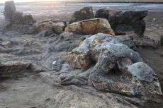 Batu Malin Kundang di Pantai Air Manis