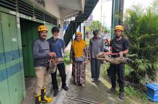 Reli Akhir Tahun Dimulai, Wall Street Pecahkan Rekor Jelang Natal