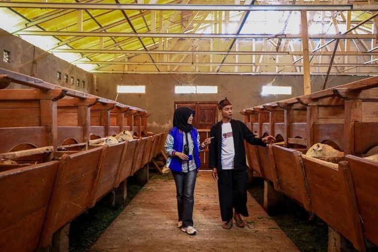 Penyaluran KUR BRI Dorong 574.000 Pengusaha UMKM Naik Kelas