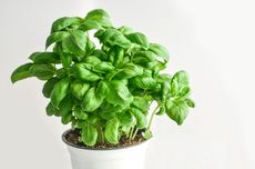 Habiskan Uang Salah Transfer Rp 117 Juta untuk Staycation, Pria Ini Berakhir di Penjara