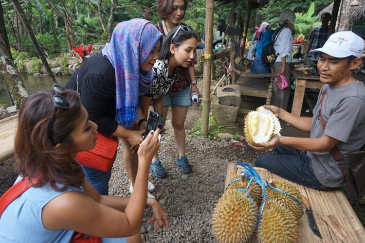 Pak Likin sedang menunjukkan durian kepada wisatawan yang datang ke kebunnya di Songgon Banyuwangi, Jawa Timur, Minggu (18/2/2018).