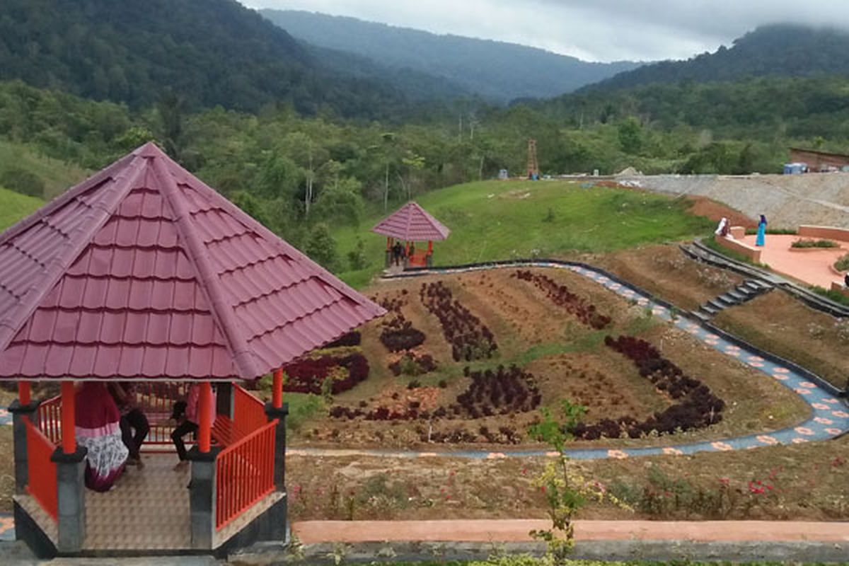 Kebun Raya Liwa di Lampung: Daya Tarik, Harga Tiket, dan Jam Buka