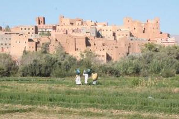 Lahan pertanian di Atlas, Maroko.