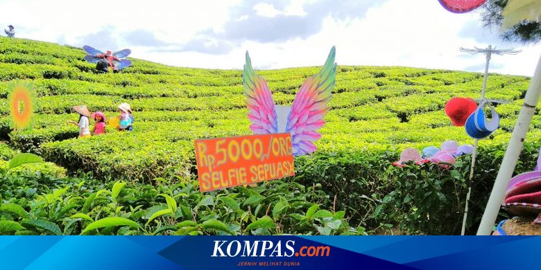 Desa Adalah Masa Depan Indonesia Halaman All Kompas Com