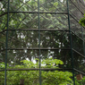 Taman Flora Bratang Surabaya: Daya Tarik, Harga Tiket, dan Rute