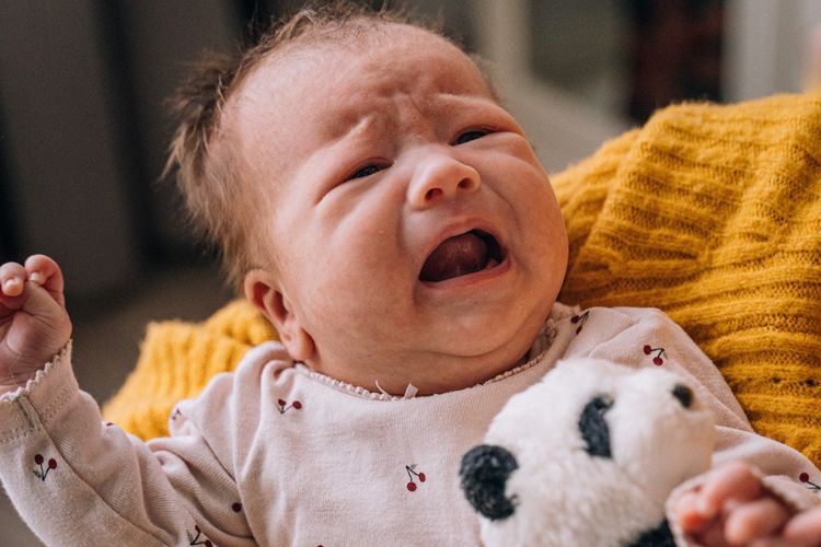 Ilustrasi bayi menangis karena ambeien