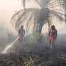Karhutla di Siak Meluas, Tim Manggala Agni Berjibaku Padamkan Api Hari Ketiga
