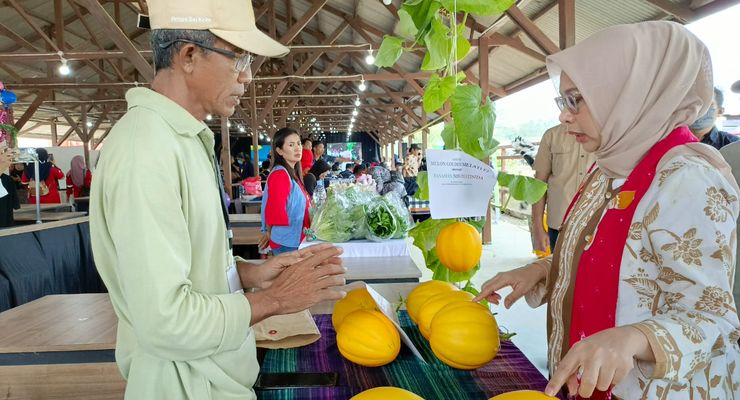 Hingga Kini, Ada 650 UMKM yang Telah Dibina Otorita IKN