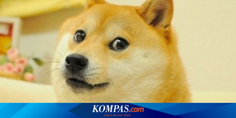 Dogecoin dollar kurs