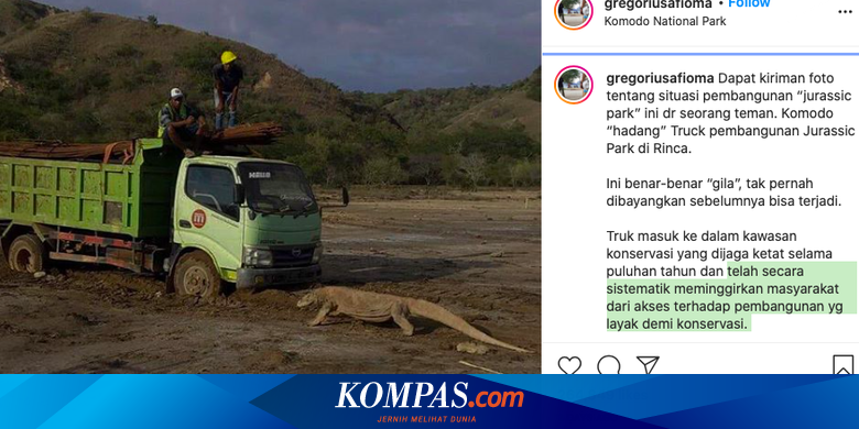 Polemic Of Jurassic Park On Komodo Island This Is Said By Tourism Observers World Today News