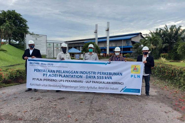 PT PLN UP3 Pekanbaru melakukan pemasangan baru listrik di perkebunan kelapa sawit PT ADEI Plantation daya 555 KVA di Kabupaten Pelalawan, Riau, pada bulan September 2020 lalu.