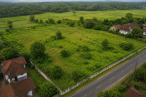 Pemerintah Tawarkan 10 Lahan Kerja Sama Properti dengan China