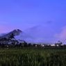Dalam 6 Hari, Gunung Semeru Alami 464 Letusan