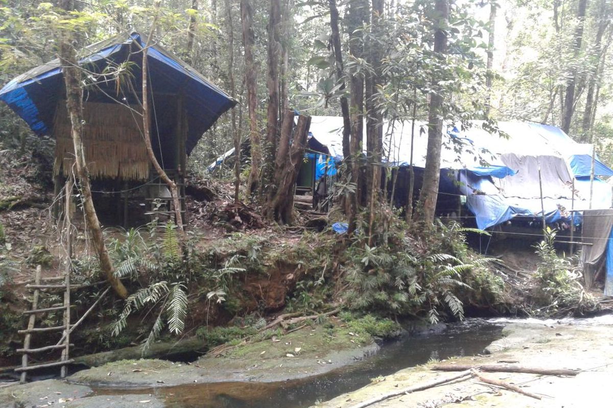 Camp Mayang, stasiun monitoring untuk pengamatan aktivitas & perilaku orangutan dan fauna lainnya.
