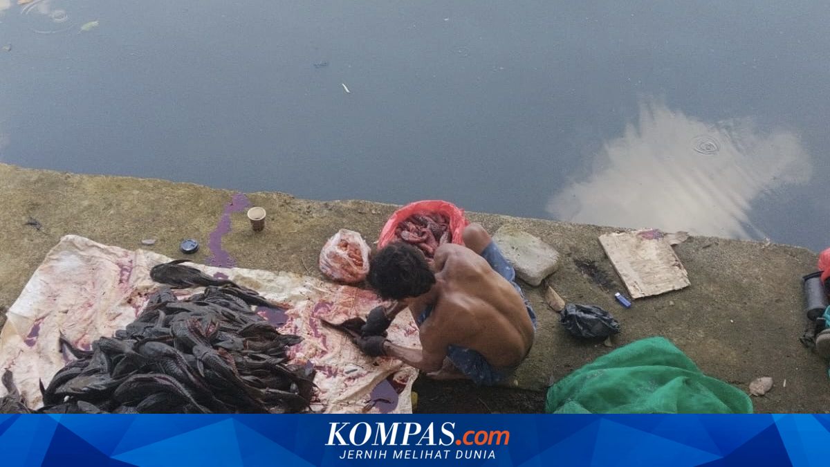 Hanya Pakai Sendok, 5 Pria yang Diamankan Satpol PP Terlatih Menyiangi Ikan Sapu-sapu ~WR 

Klik untuk baca: