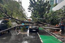 Budaya Main Aman: Racun yang Memperlambat Transformasi BUMN