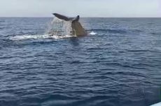 BNPT Perkuat Koordinasi untuk Perlindungan Khusus Anak Korban Terorisme