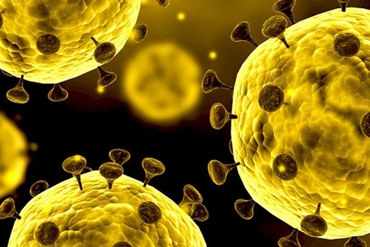Setelah 13 negara lainnya, kini kasus virus corona terkonfirmasi di Sri Lanka dan Jerman 