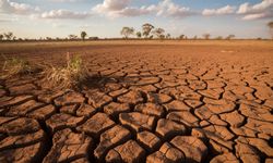 Dinamika ENSO 2026, Membaca Sinyal Alam di Tengah Narasi “Godzilla”