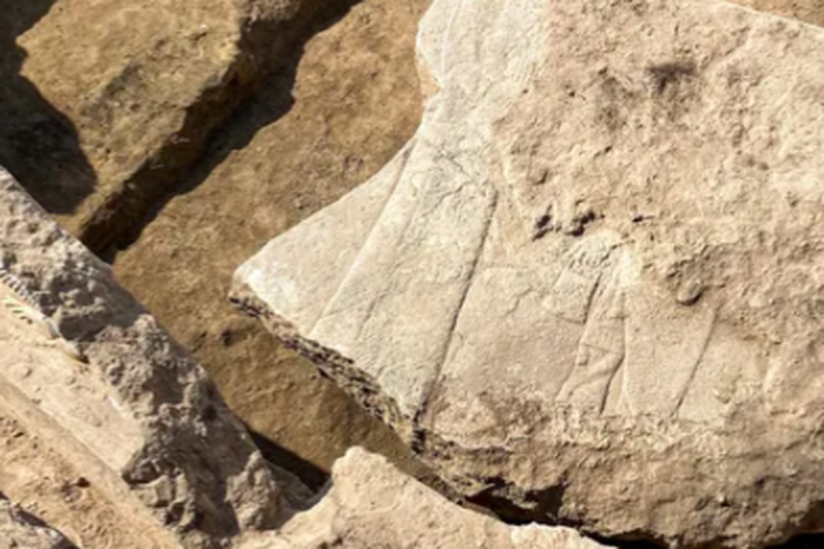 Fragmen ukiran batu monumental yang ditemukan di situs arkeologi Niniwe di Irak. (Kredit gambar: Aaron Schmitt / Universitas Heidelberg)