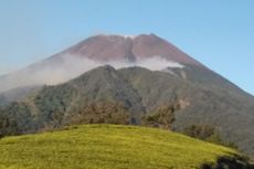 Kebakaran Gunung Slamet Meluas, Ganjar Siapkan Water Bombing