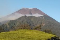 Kebakaran Hutan Lereng Gunung Slamet di Brebes Meluas ke Banyumas