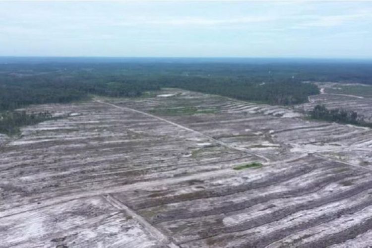 Kementerian Pertahanan menyebut pengerjaan kebun singkong terhenti sementara karena ketiadaan anggaran.