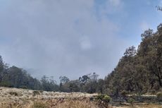 Terus Meluas, Kebakaran Gunung Semeru Capai 60,4 Hektare