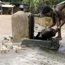Korban Tewas Akibat Kolera Meningkat di Kamerun, Lebih dari 420 Orang