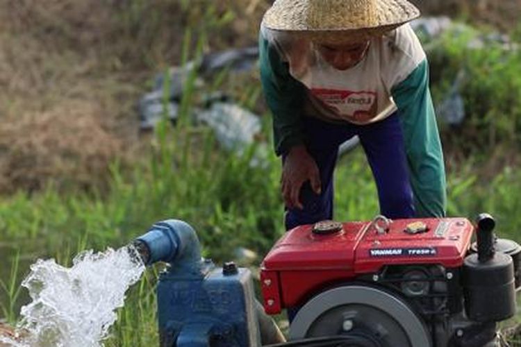 Petani sedang menggarap sawah