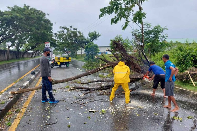 Personel Polsek kawasan bandara Pattimura Ambon bersama warga membersihkan batang pohon yang tumbang menutupi jalan menuju bandara tersebut, Rabu (23/3/2022)
