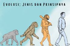 Evolusi: Jenis dan Prinsipnya
