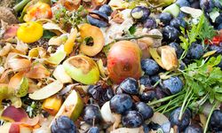 6 Tip Kurangi Sampah Makanan Selama Bulan Puasa