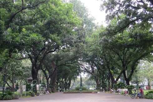 Tebet Eco Park Ditutup, Ini Alternatif Taman Lain di Ibu Kota, Gratis!