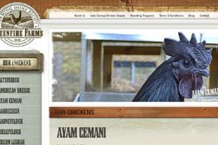 Situs peternakan AS, Greenfire Arms yang menawarkan Ayam Cemani