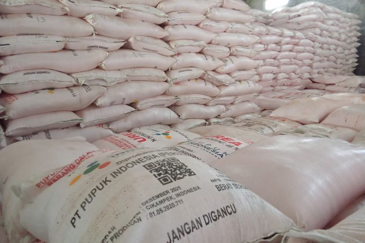 Siapkan 613.138 Ton Pupuk Subsidi, Pupuk Indonesia: Stoknya Aman dan Terpenuhi