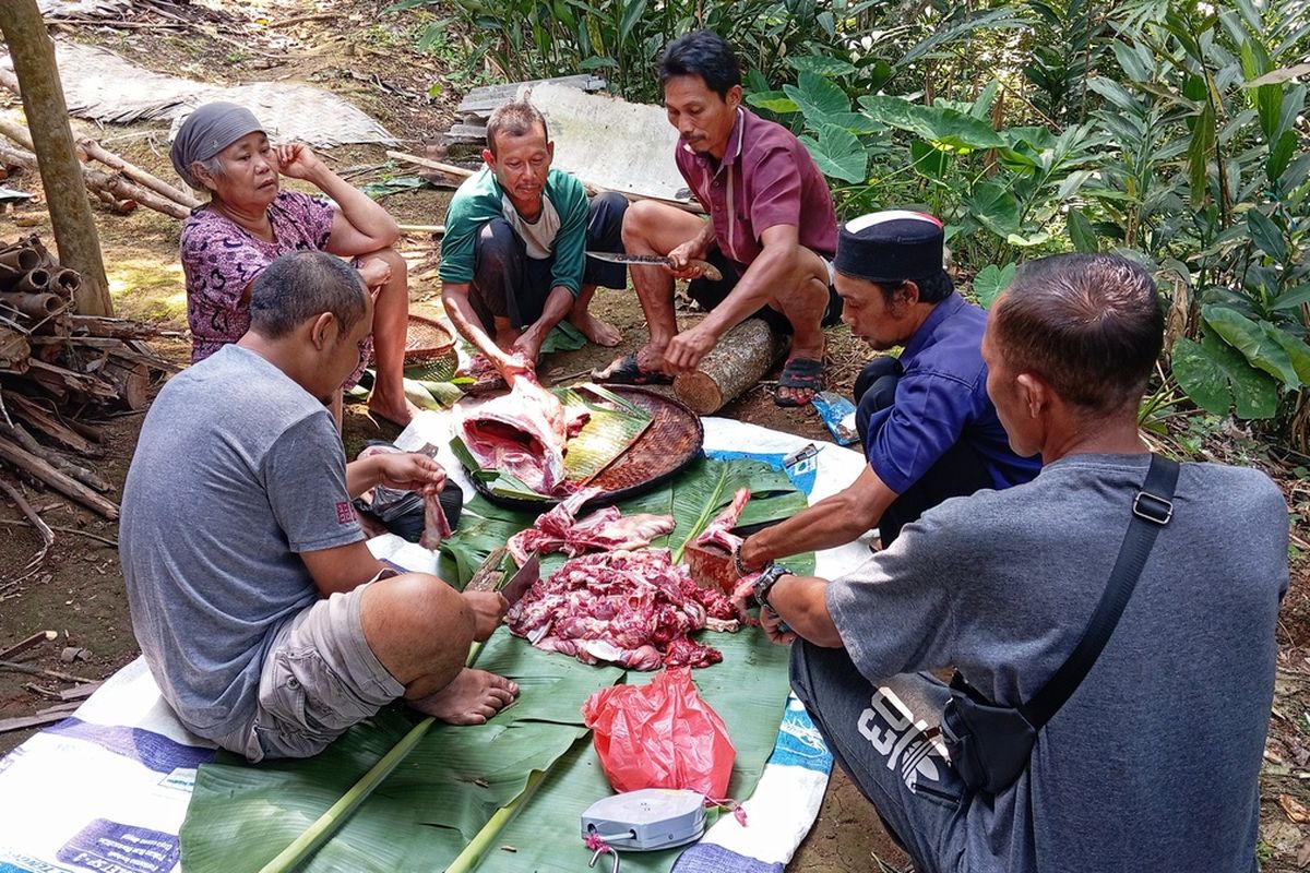 Pemilik kambing dibantu warga memproses pemotongan daging kambing yang selamat dari serangan binatang buas di Kampung Pasir Pangli, Desa Cikarae Thoyyibah, Kecamatan Cikidang, Sukabumi, Jawa Barat, Senin (5/8/2024).