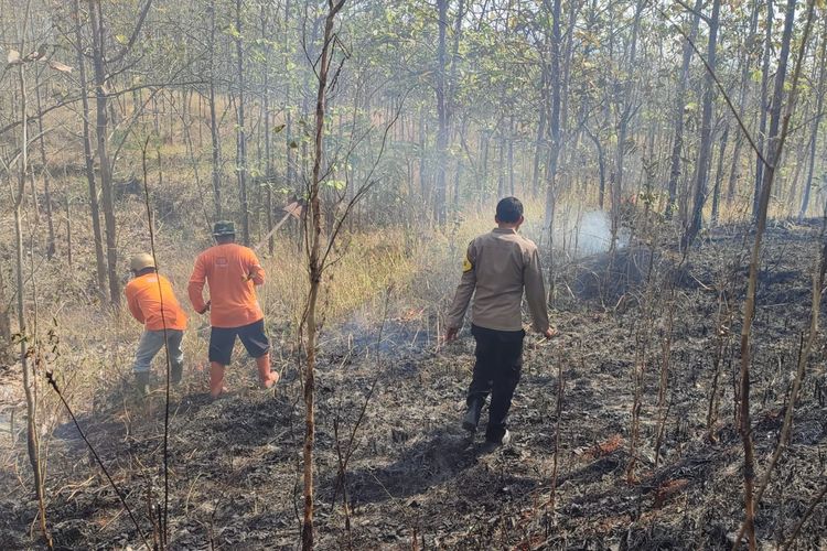 Lahan Perhutani di Wonogiri Terbakar Seluas 4 Hektare, Api Diduga dari Warga Bakar Sampah