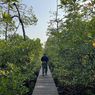 5 Tips Berkunjung ke Hutan Mangrove Mentawir di IKN, Pilih Waktu Berkunjung