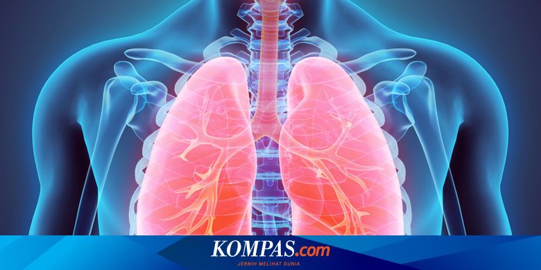 Emfisema merupakan penyakit yang terjadi pada organ pernapasan yaitu