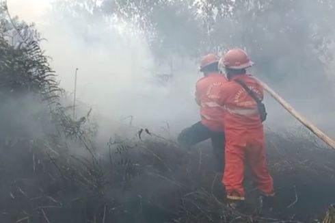 Kebakaran Hutan dan Lahan di Perbatasan Dumai-Bengkalis Riau Meluas, Petugas Kewalahan