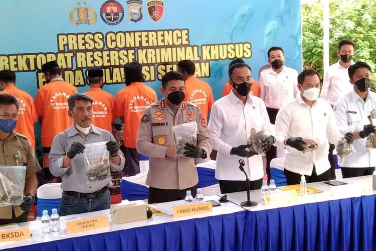Aparat kepolisian Polda Sulsel berhasil mengungkap kasus penyeludupan penyu hijau (Chelonia Mydas) di Perairan Kabupaten Pangkajene Kepulauan (Pangkep) yang dijual ke beberapa rumah makan di Kota Makassar.