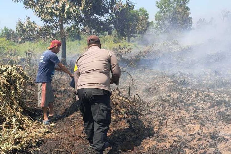 Setelah lebih sepekan tidak hujan, sejumlah lahan gambut di wilayah Kabupaten Kubu Raya, Kalimantan Barat (Kalbar) mulai terbakar, Rabu (18/1/2023) siang.