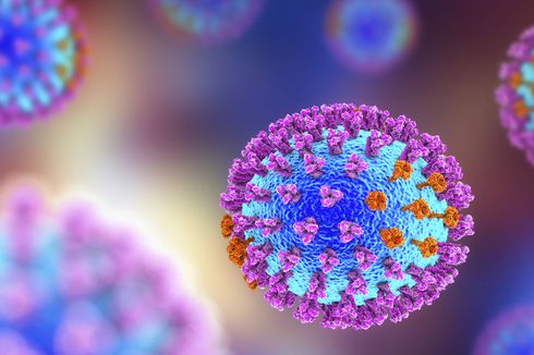 [POPULER GLOBAL] 7 Alasan Virus Flu Babi G4 Berpotensi Jadi Pandemi | Pengantin Pria Meninggal 2 Hari Usai Nikah, 95 Tamu Positif Corona